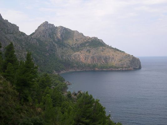 COSTA NORTE DE MALLORCA (SÓLLER) DRAGÓN DORMIDO