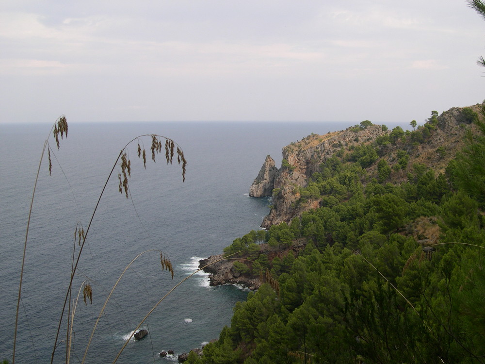 COSTA NORTE MALLORCA (SÓLLER) 2