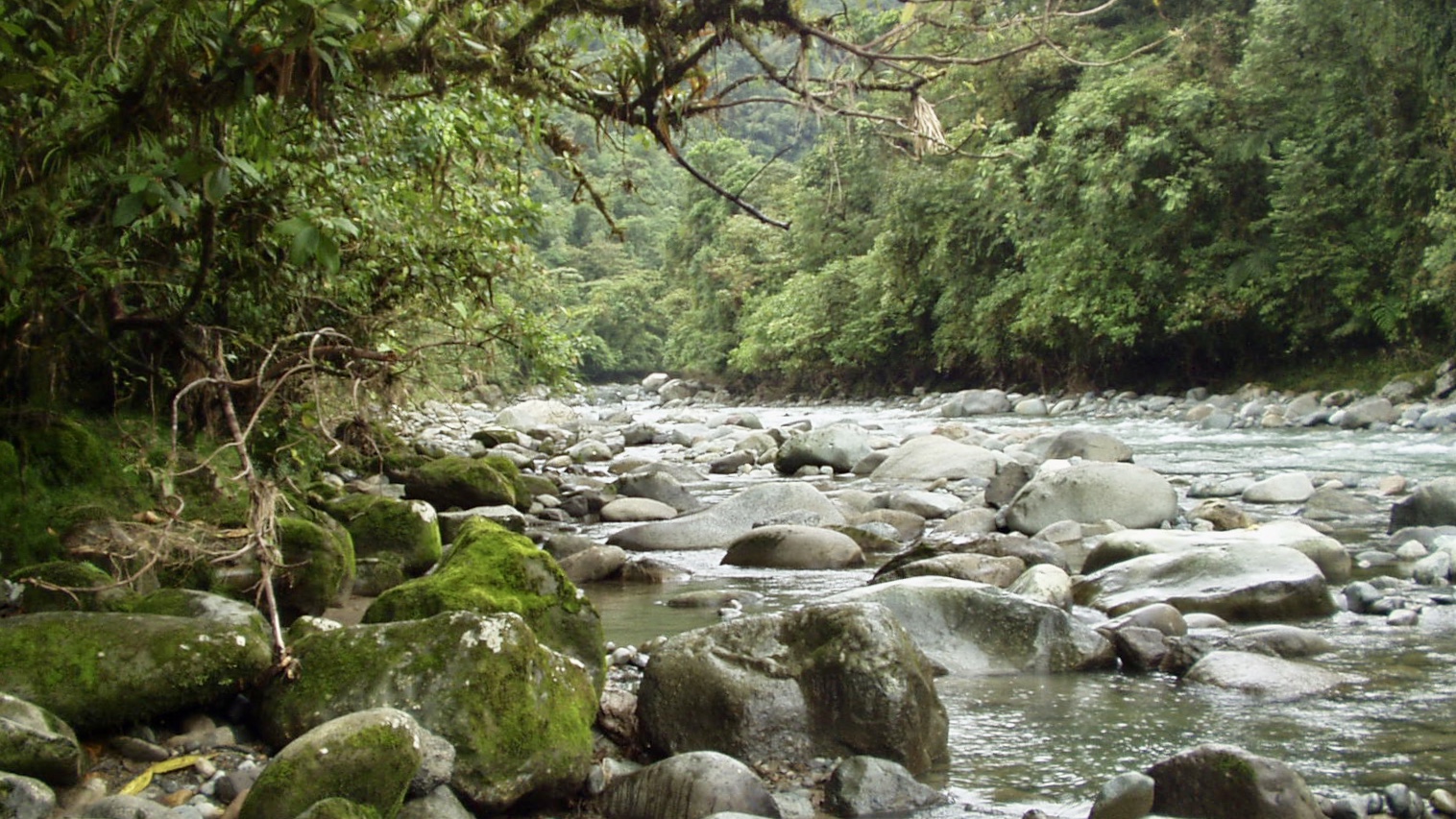 Costa Rica (2005), Wilde Natur