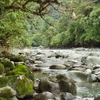 Costa Rica (2005), Wilde Natur