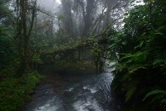 Costa Rica (4)