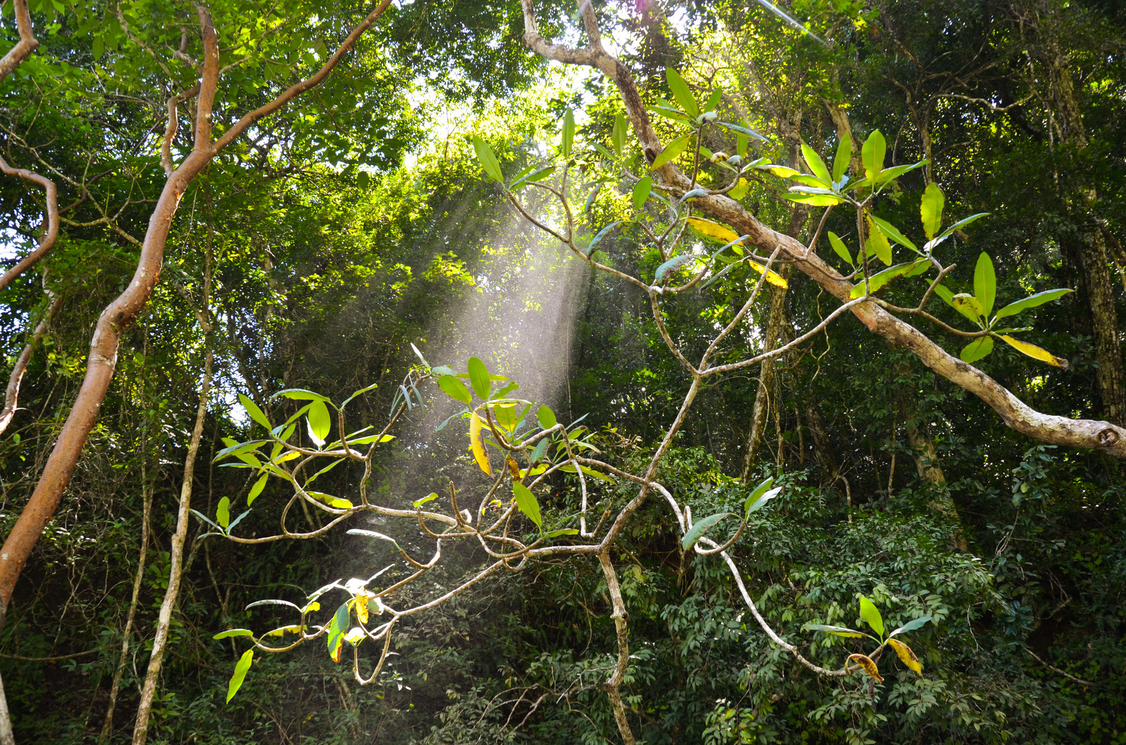 Costa Rica