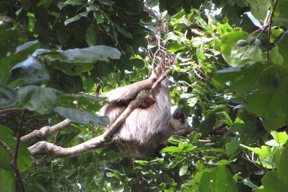 Costa Rica