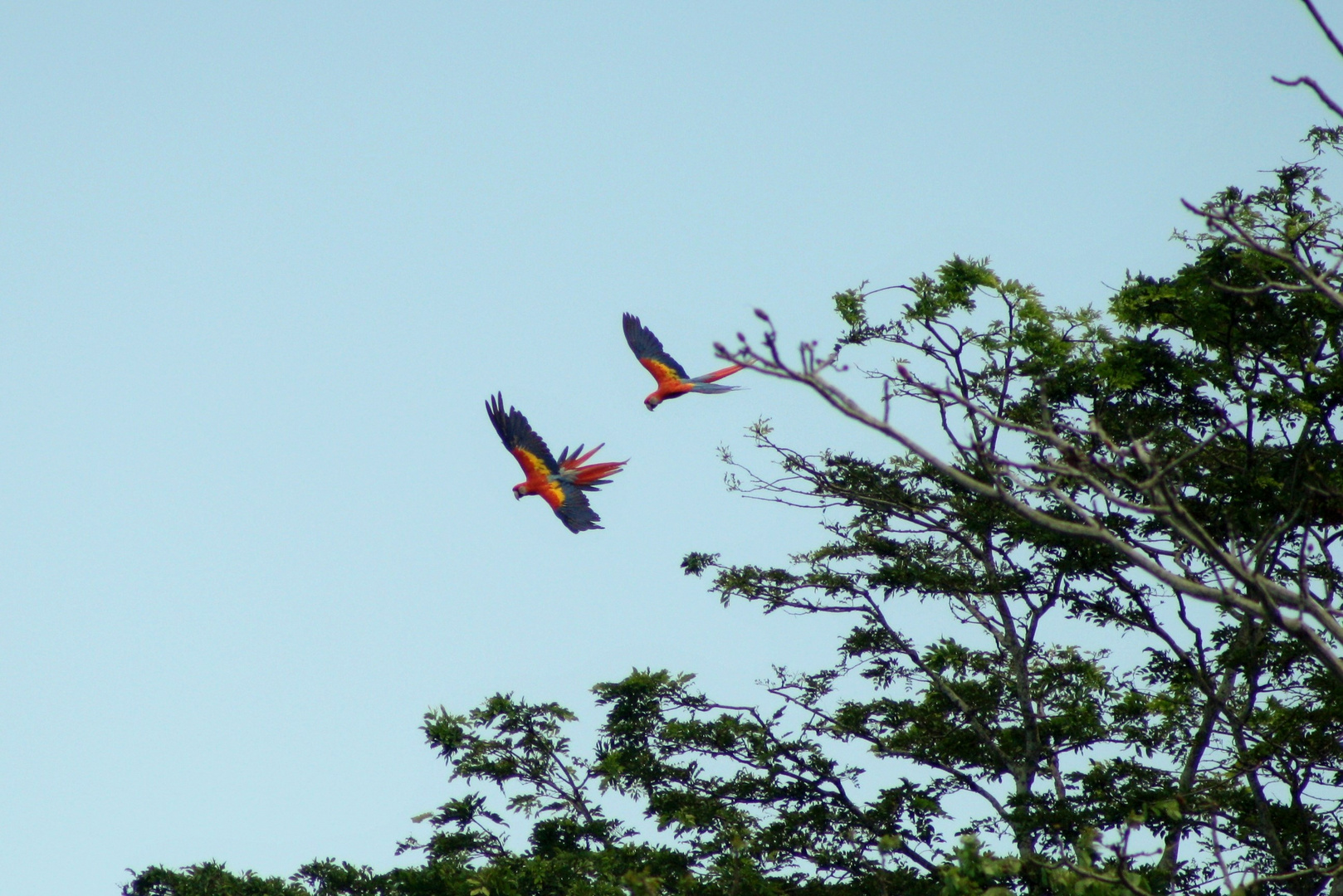 Costa Rica, Aras