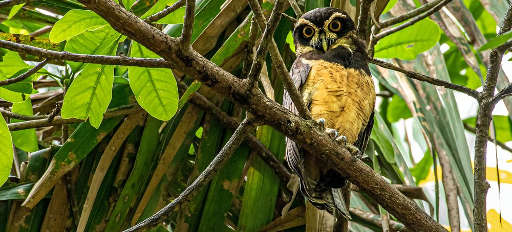 Costa Rica /