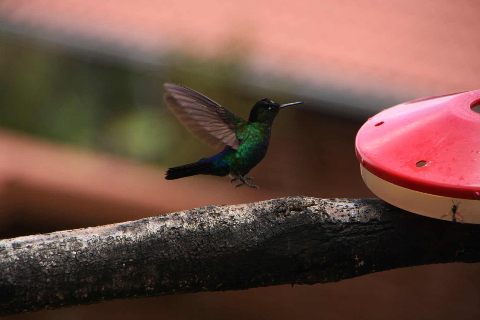 Costa Rica