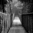 Costa Rica "Hanging Bridges"