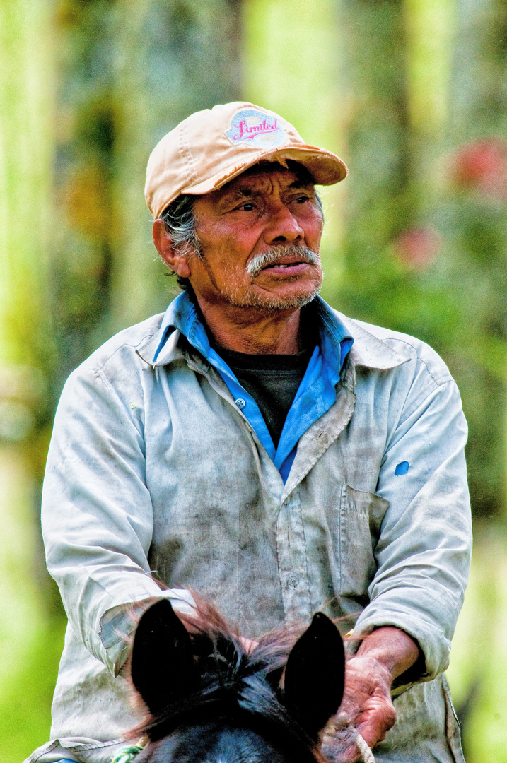 Costa Rica, Haziende la Amistad