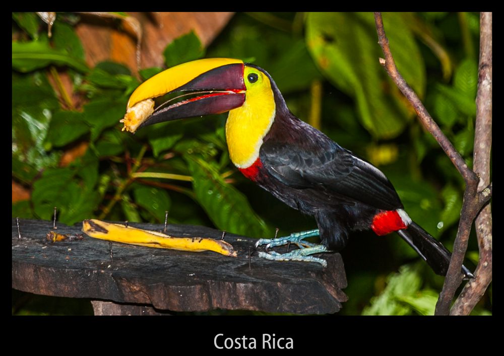 Costa Rica - La Fotuna