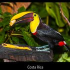 Costa Rica - La Fotuna