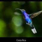 Costa Rica - Manuel Antonio