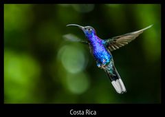 Costa Rica - Manuel Antonio