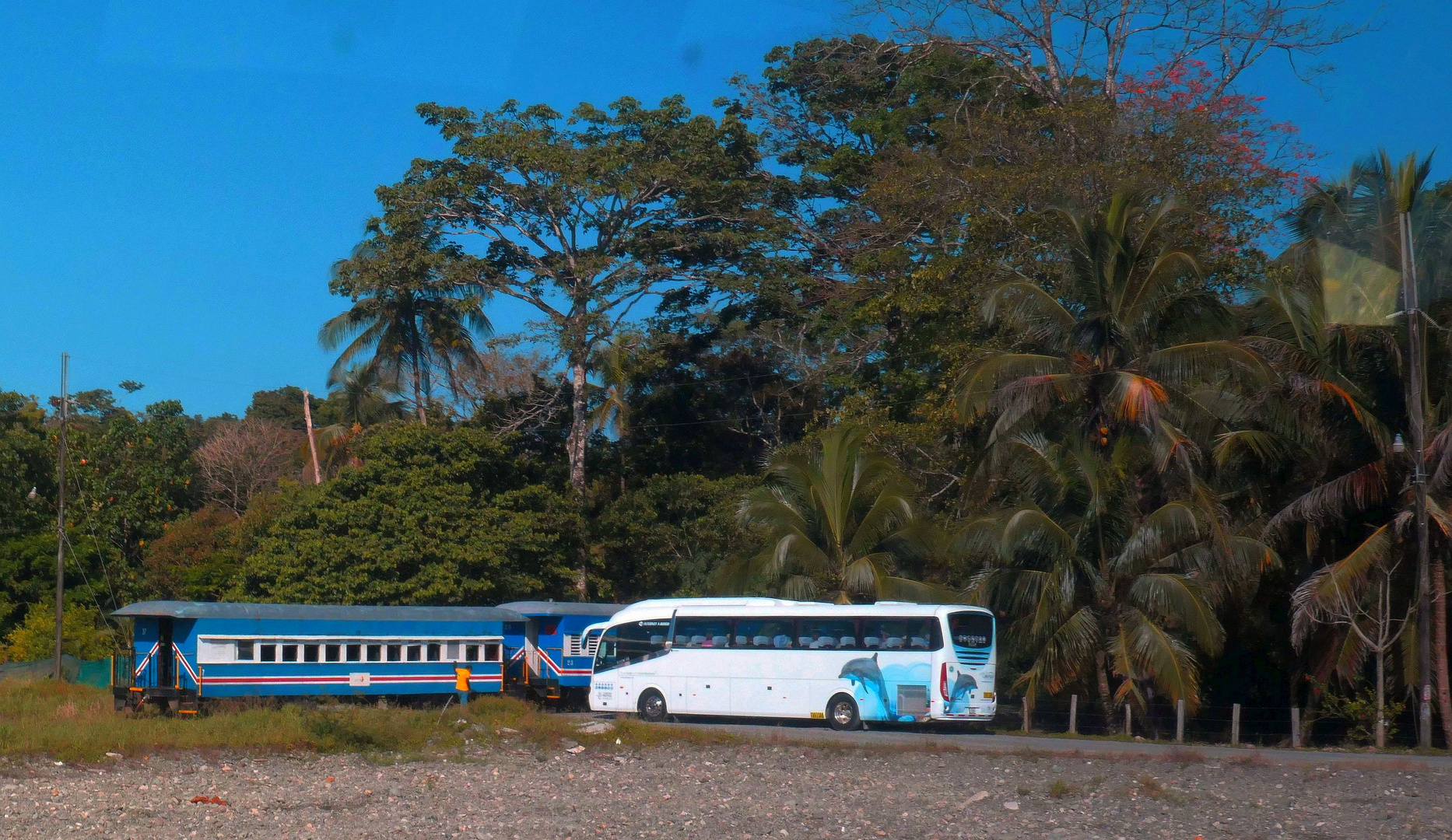 Costa Rica - Mit dem historischen Zug zu den Brüllaffen