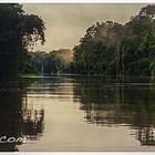 Costa Rica-Parque Nacional Tortuguero