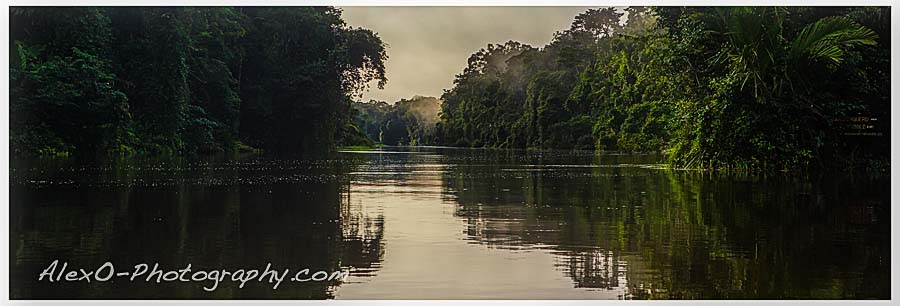 Costa Rica-Parque Nacional Tortuguero