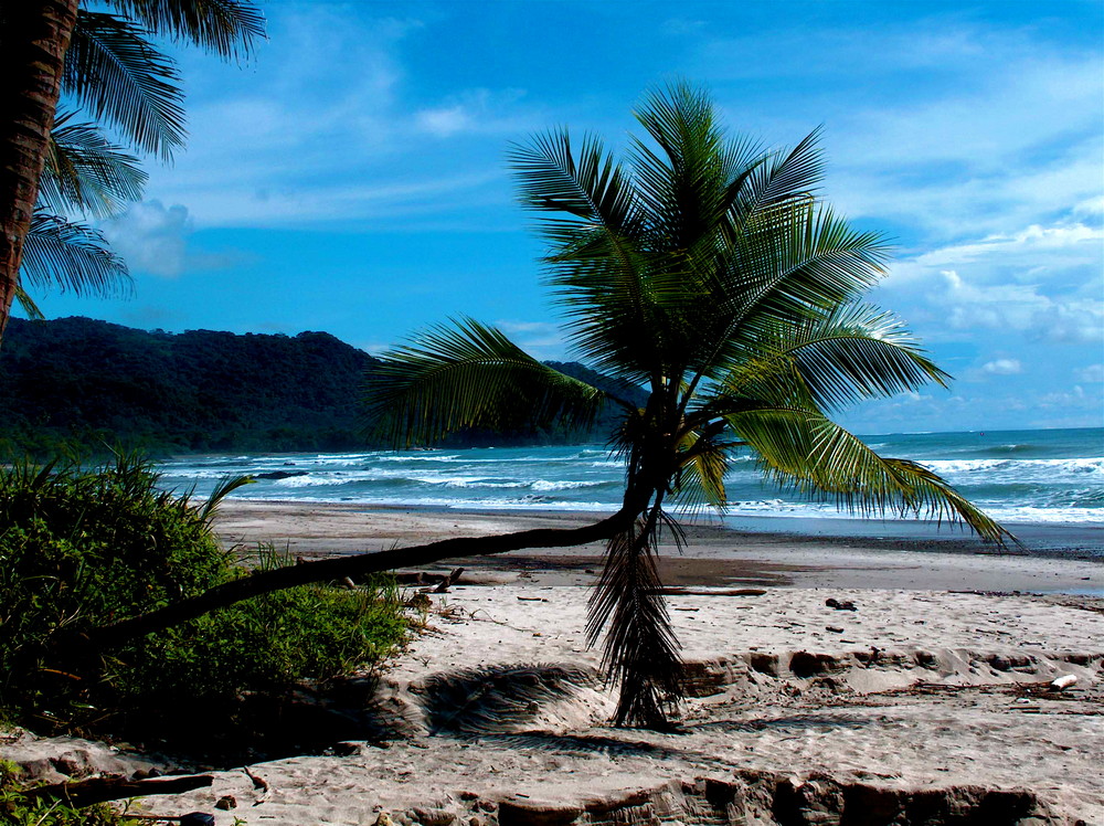 costa rica playa de mal pais....pero paraiso perfecto!!!!!