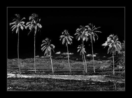 Costa Rica / Samara Beach