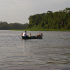 Costa Rica, Tortugero;