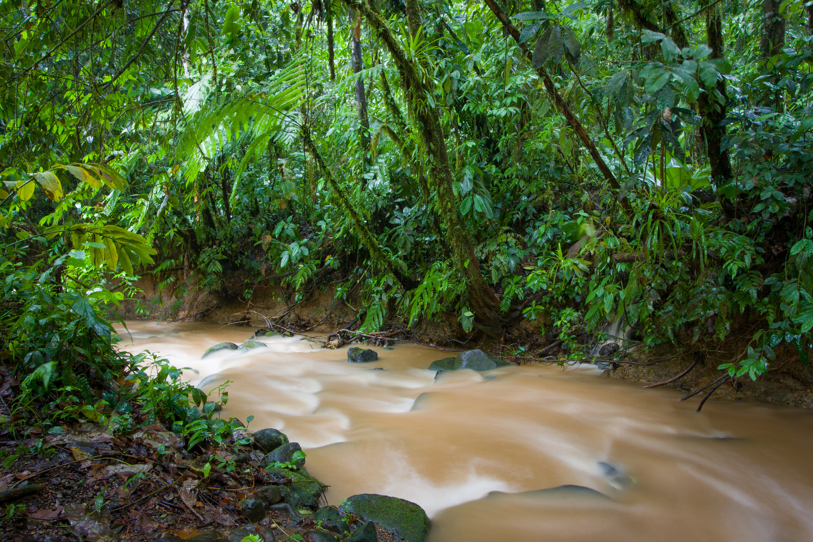 Costa Rica Urwaldfluss