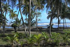 Costa Rica: Wo der Regenwald endet, beginnt das Meer...