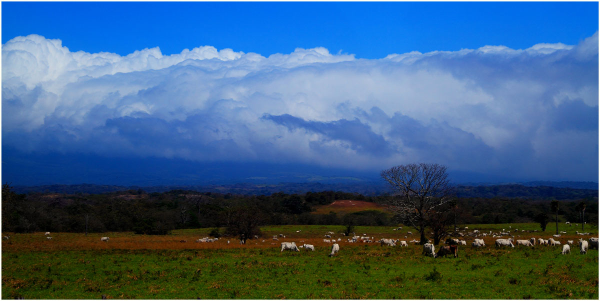 Costa Ricas Landschaft