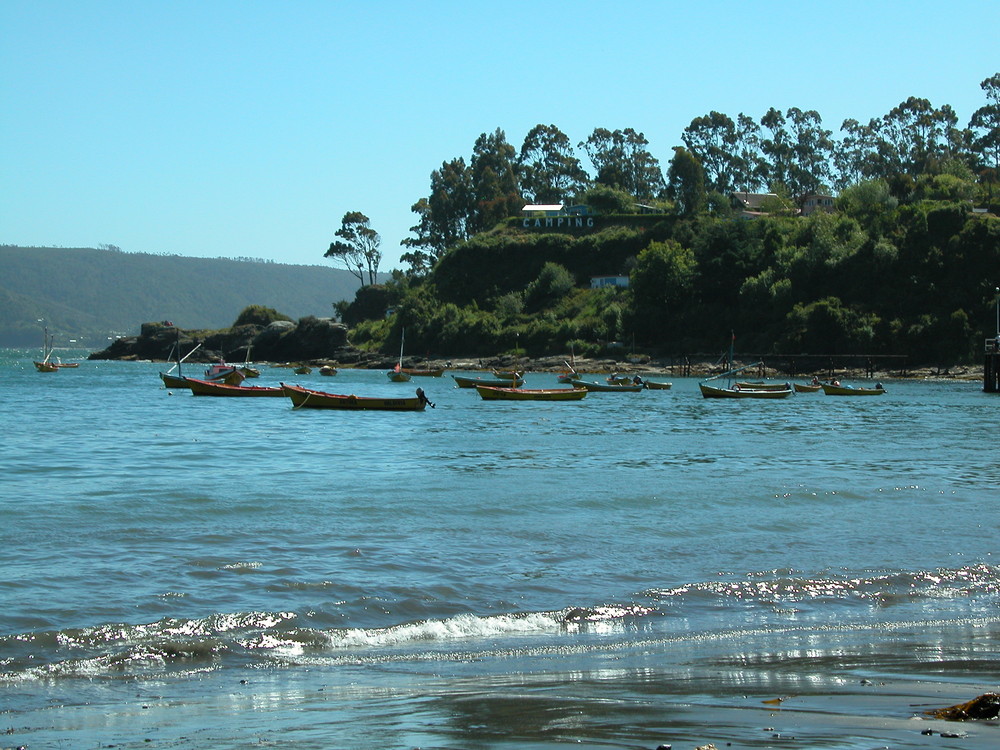 COSTA VALDIVIANA