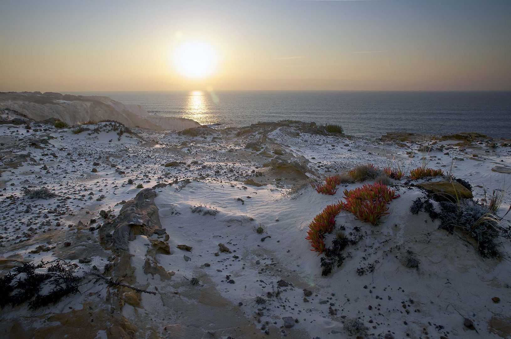 Costa Vicentina 