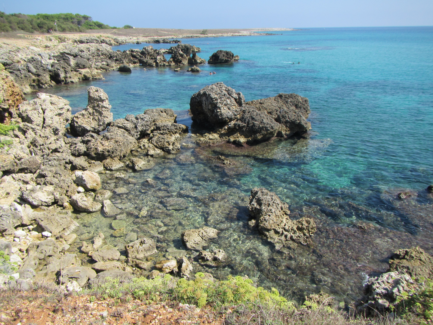 Costa wild nel salento