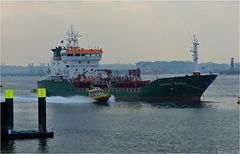 COSTANZA WONSILO / General Cargo / Rotterdam