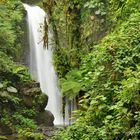 #costarica cataratta workshopfotografico https://www.wildlifefoto.it/