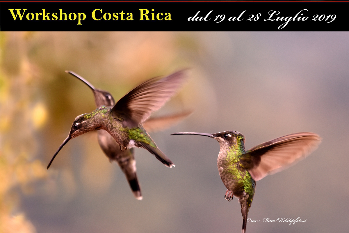 #costarica phototour