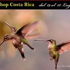 #costarica phototour