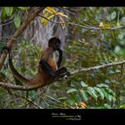 costarica workshopfotografico oscar mura www.wildlifefoto.it