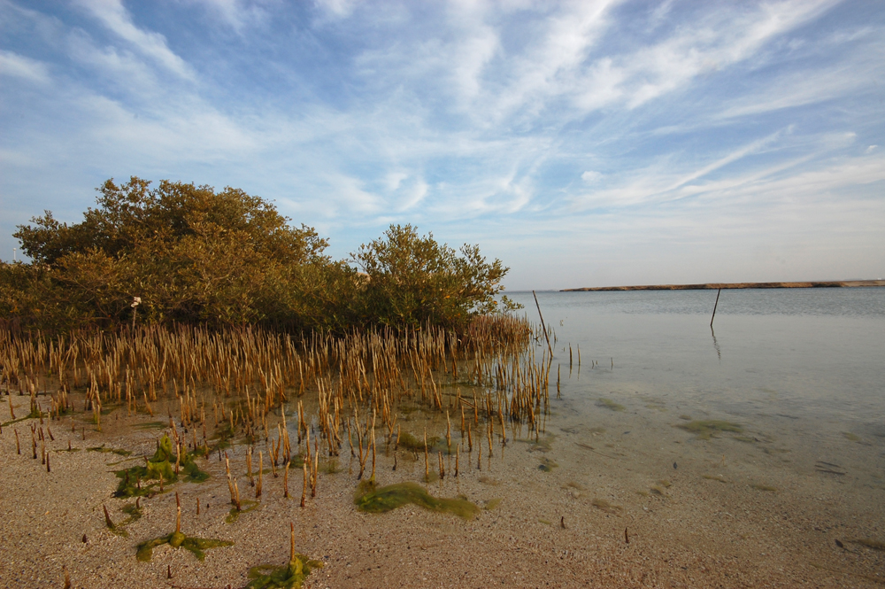 Coste e spiagge (4)