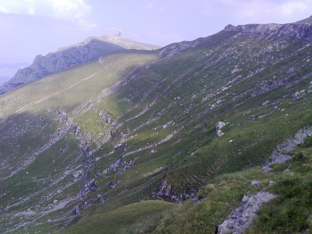 "Costila" Gipfel ( Bucegi Berge, Runänien )