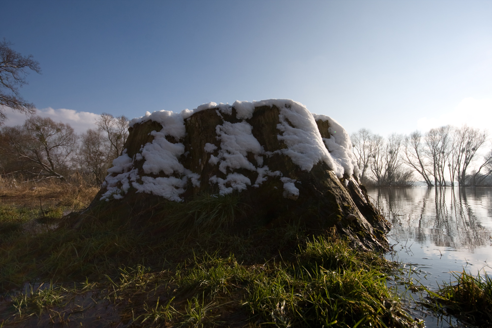 Coswiger Elbholzgebirge