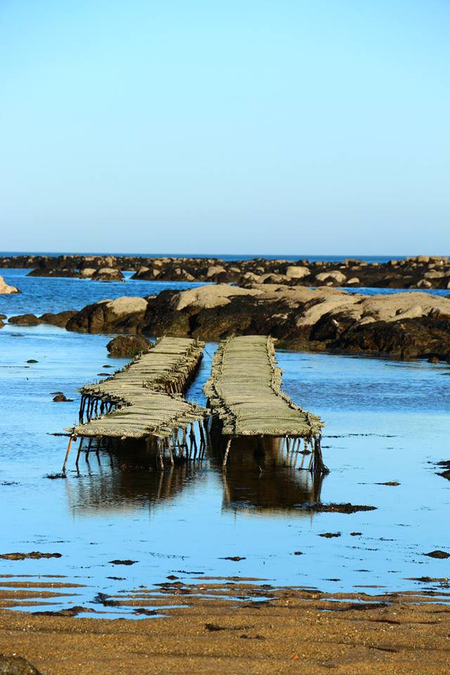 Cote à cote au bord de l'eau