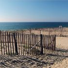 Côte Atlantique des Landes: protéger les dunes