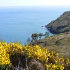 Côte bretonne (3)