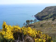 Côte bretonne (3)