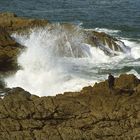 Cote bretonne