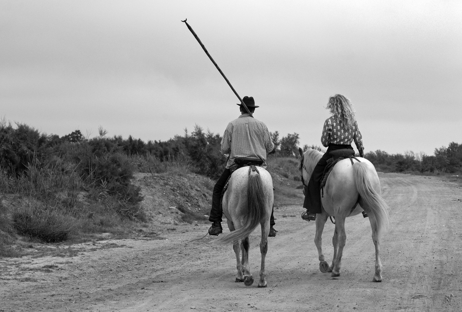 Côté Camargue ....