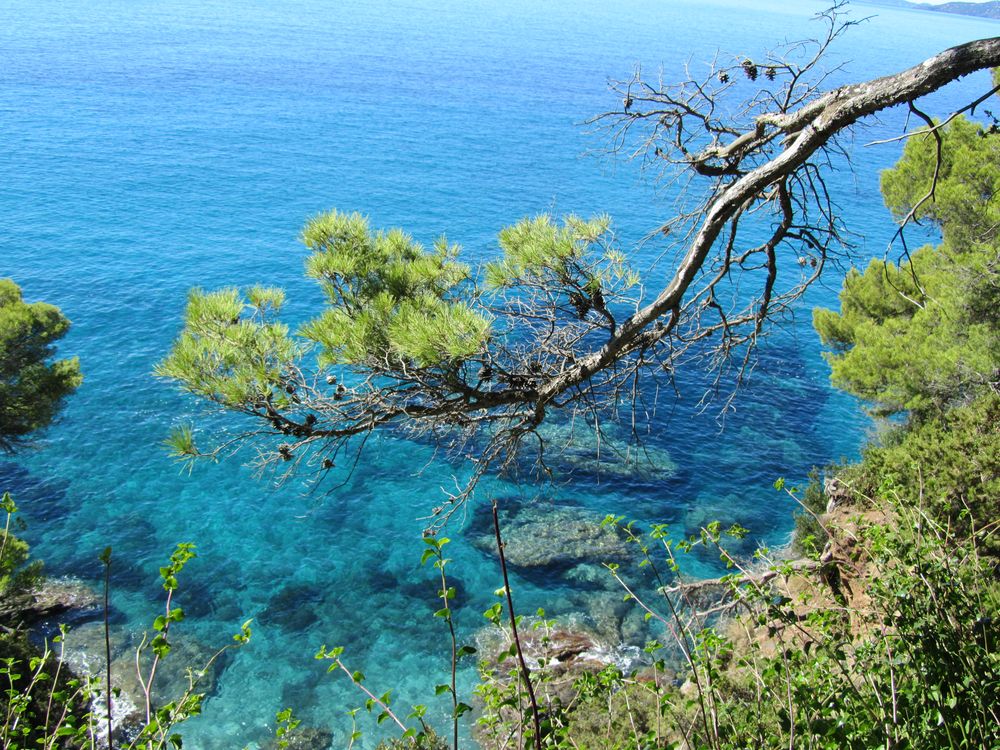 Côte d' Azur