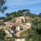 Côte d' Azur, Bormes-les-Mimosas
