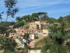 Côte d' Azur, Bormes-les-Mimosas