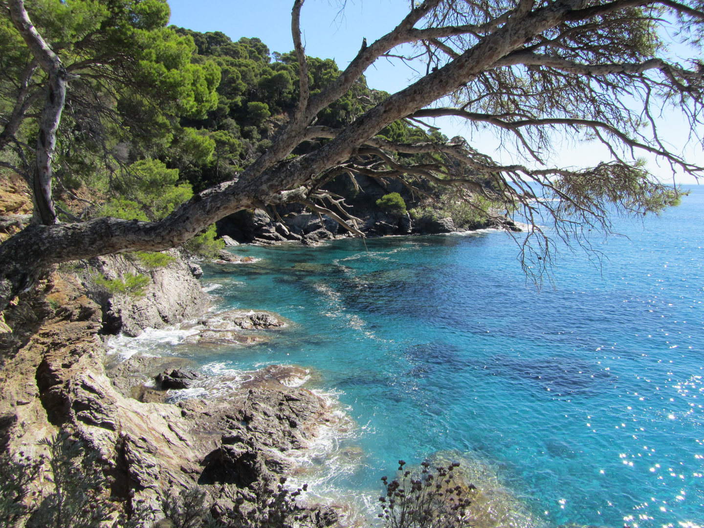 Côte d' Azur, Le Rayol