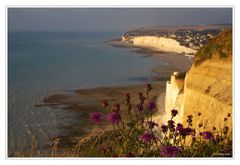 Côte d'Albâtre.....