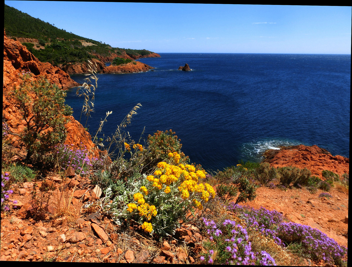 Cote d'Azur: Cap Roux mit Blumenpracht im Mai