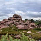 Côte de Granit Rose ...