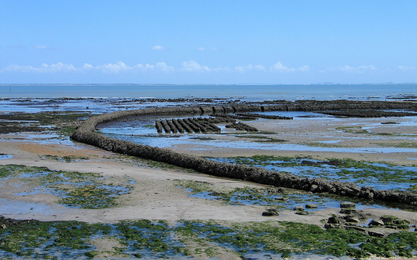 Côte de l'île d'Oléron